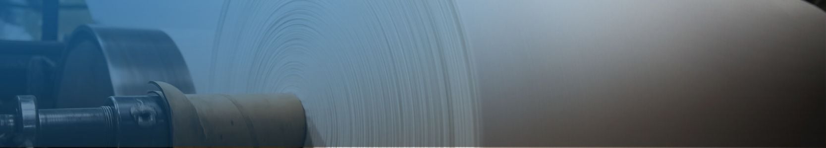 Professional Search - Pulp and Paper case study header