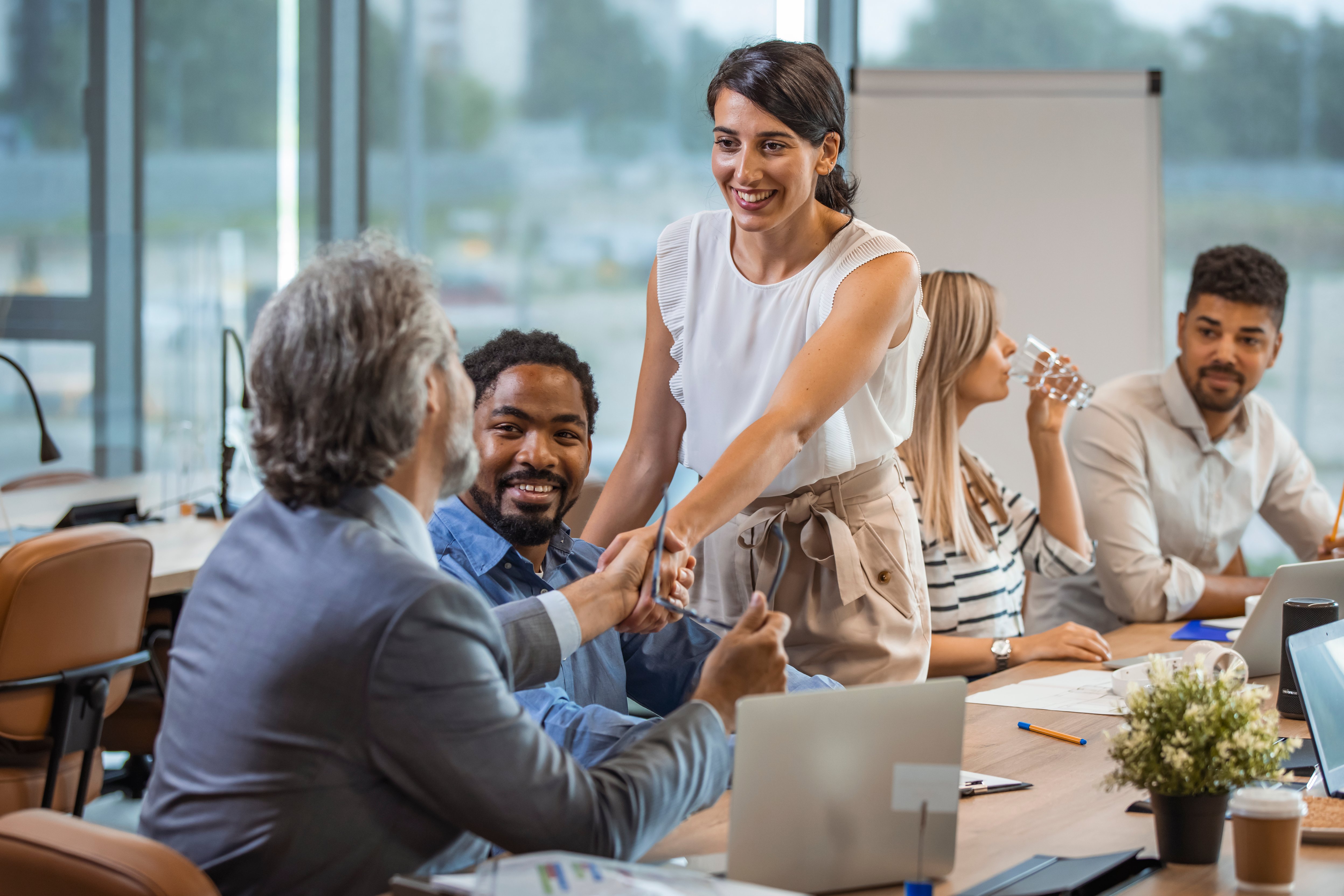 Colleagues in Germany shaking hands