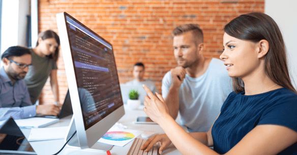 A woman explains something depicted on a computer screen while a man looks on.