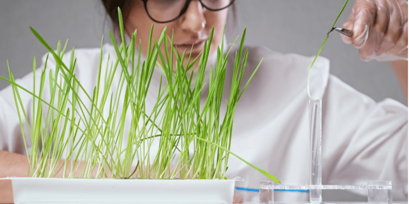 Employee with STEM skills