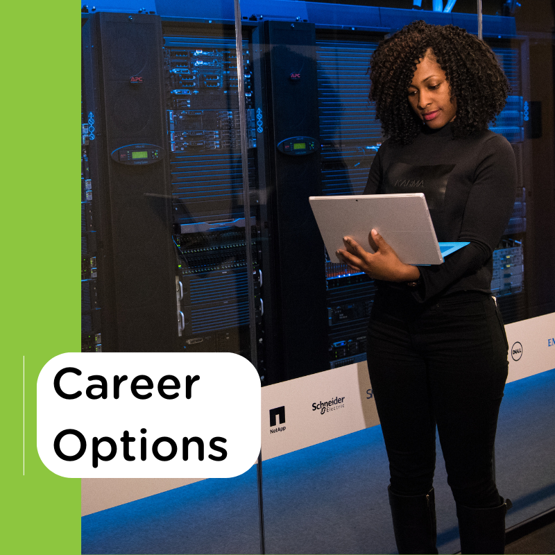 Information Technology Career Options Feature
