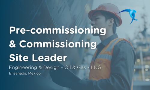 Pre-commissioning  & Commissioning Site Leader - Engineering & Design - Oil & Gas - LNG - Ensenada, Mexico