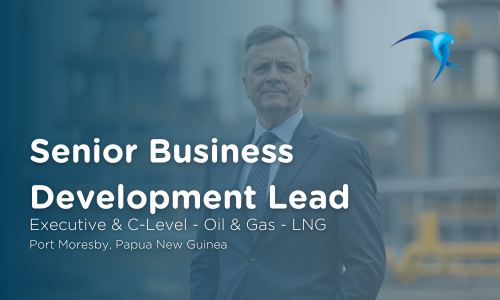 Senior Business Development Lead  - Executive & C-Level - Oil & Gas - LNG - Port Moresby, Papua New Guinea